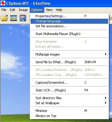 Irfanview zmiana języka